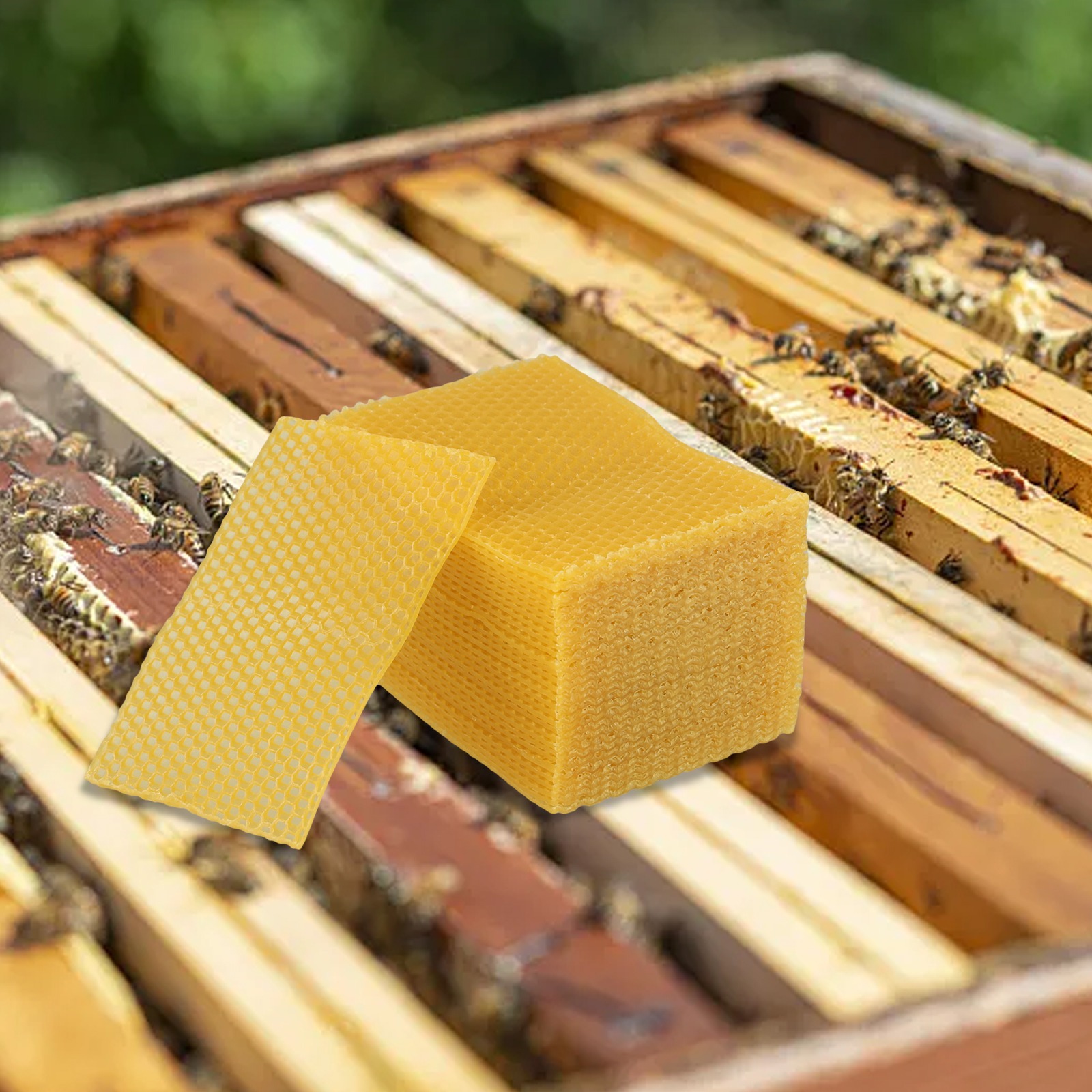 5.24 X 3.54 Beehive Foundation - Beeswax Sheet Roll 评论和价格