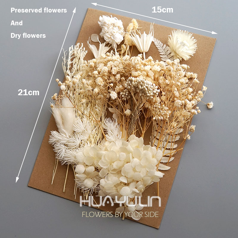 1 Pack Artificial Plants Dried - Candle Supplies Kit 评论和价格